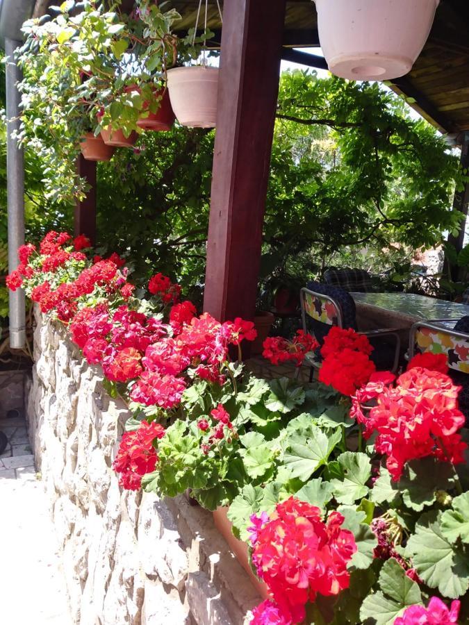 Guest House Djurdjica دْغاماي المظهر الخارجي الصورة