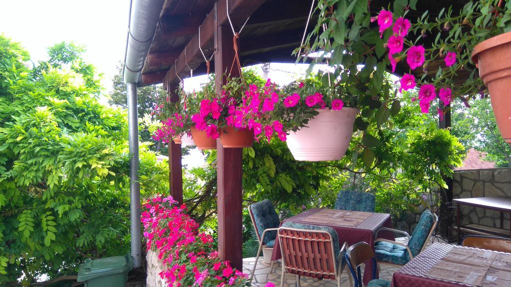 Guest House Djurdjica دْغاماي المظهر الخارجي الصورة