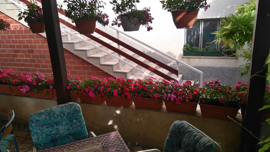 Guest House Djurdjica دْغاماي المظهر الخارجي الصورة