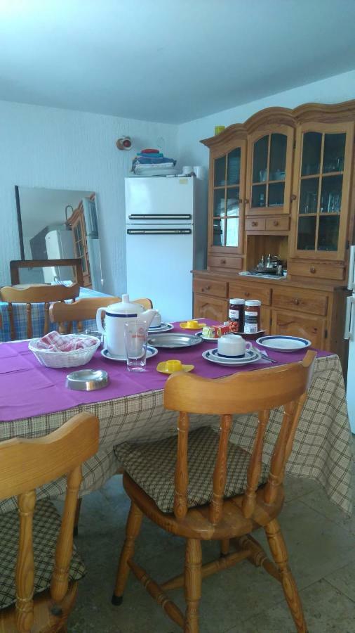 Guest House Djurdjica دْغاماي المظهر الخارجي الصورة